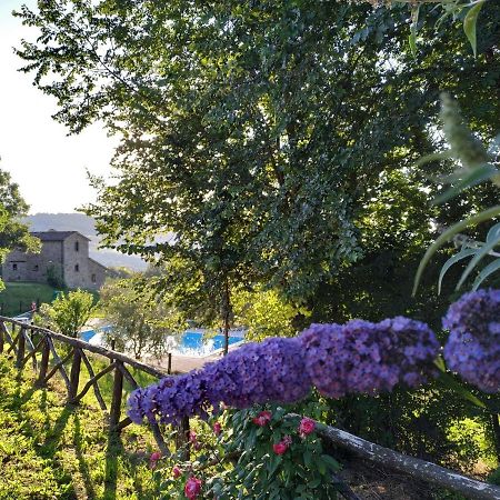 Selvadonica Villa Caprese Michelangelo Dış mekan fotoğraf