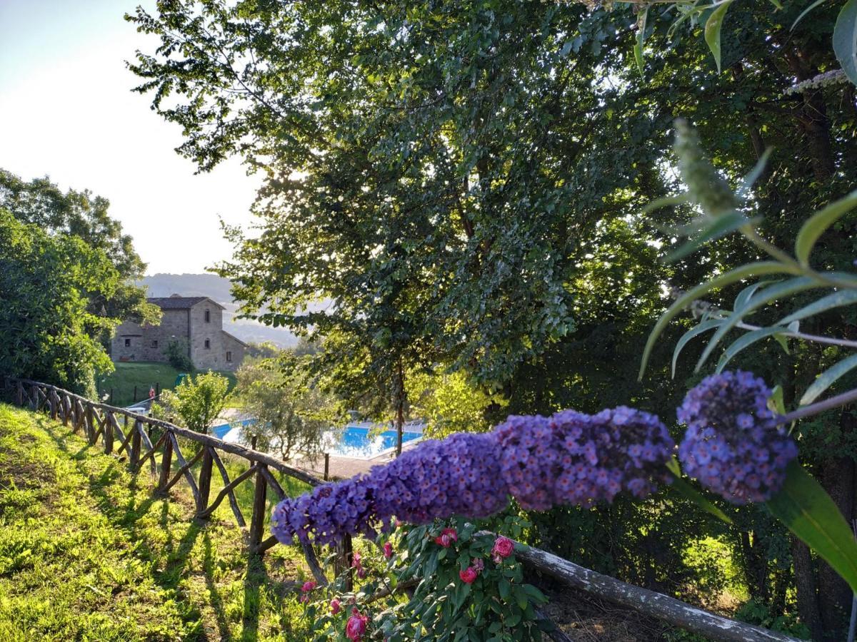 Selvadonica Villa Caprese Michelangelo Dış mekan fotoğraf