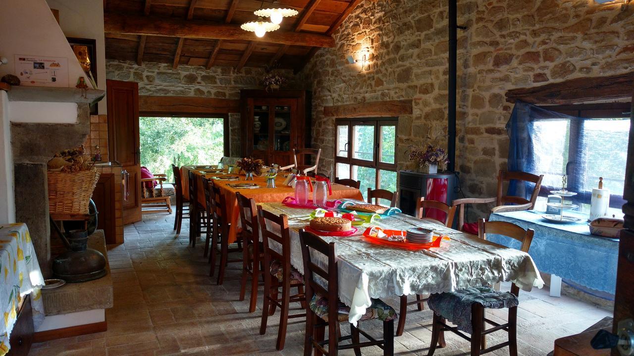Selvadonica Villa Caprese Michelangelo Dış mekan fotoğraf